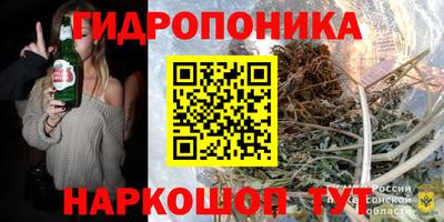 дмт Кинель