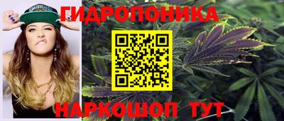 дмт Кинель