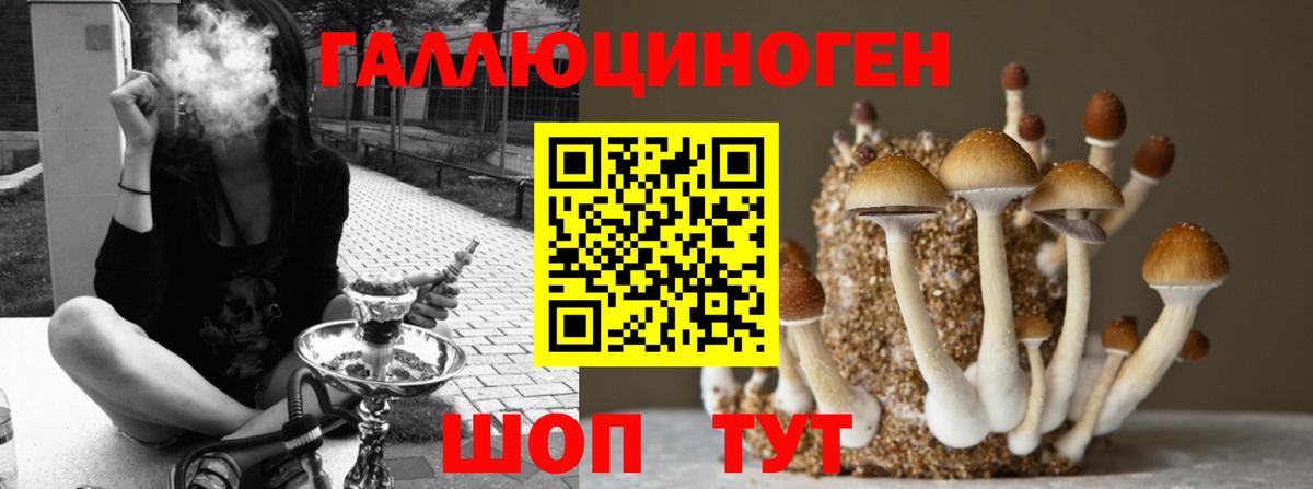 Галлюциногенные грибы Magic Shrooms Корсаков